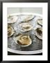 Oysters On Ice by Matilda Lindeblad Limited Edition Print