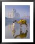 Camal And Driver, Taj Mahal, Agra, Uttar Pradesh, India by Doug Pearson Limited Edition Pricing Art Print