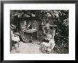 Peter Henry Emerson Pricing Limited Edition Prints