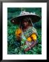 Tea Plucker Picks Leaves From Bush To Make Assam Tea, Guwahati, Assam, India by Greg Elms Limited Edition Print