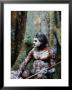 Indigenous Australian Dancer With Body Paint, Mossman Gorge, Queensland, Australia by Michael Coyne Limited Edition Print