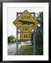 Road Sign For Alligator Crossings by Klaus Nigge Limited Edition Pricing Art Print