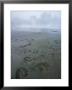 A Bird And A Brown Bear Left Prints In The Mud At A Hot Spring by Michael Melford Limited Edition Print