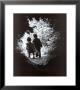 Walk To Paradise Garden by W. Eugene Smith Limited Edition Pricing Art Print