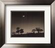 Waxing Moon by Paul Kozal Limited Edition Print