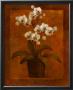 Potted Orchid by T. C. Chiu Limited Edition Print