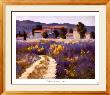 Brigitte Curt Pricing Limited Edition Prints