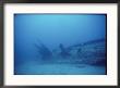 The Remains Of A German U-Boat by Brian J. Skerry Limited Edition Pricing Art Print