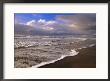 The Oregon Coast by Paul Nicklen Limited Edition Pricing Art Print