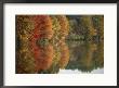 Fall Foliage Around Churchill Lake Is Reflected In The Still Water by Brian Gordon Green Limited Edition Pricing Art Print