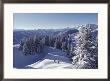 Cross-Country Skiing In Aspen, Colorado by Annie Griffiths Belt Limited Edition Print