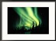 Northern Lights by Norbert Rosing Limited Edition Print
