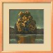 Shades Of Fall Iii by Robert Holman Limited Edition Print
