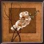 Golden Orchid Ii by Lee Carlson Limited Edition Print