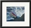 Conch In Surf by Ruth Burke Limited Edition Pricing Art Print