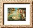 The Birth Of Venus, C.1485 by Sandro Botticelli Limited Edition Print