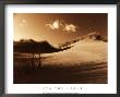 Into The Light by Jo Crowther Limited Edition Pricing Art Print