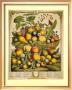 Fruits Of The Season Summer by Robert Furber Limited Edition Pricing Art Print