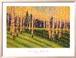 Aspen Light (Left) by Gary Max Collins Limited Edition Print