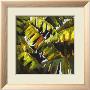 Palm Foliage I by Virginia Dauth Limited Edition Print