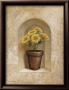 Potted Flowers Ii by Michael Marcon Limited Edition Print