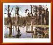 Summer Refuge, Wood Ducks by Anthony J. Rudisill Limited Edition Print