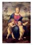 Madonna Of The Goldfinch, Circa 1506 by Raphael Limited Edition Print
