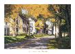 Creek Road by Gene Mcinerney Limited Edition Print