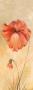 Red Poppies I by Olga Kaesling Limited Edition Pricing Art Print