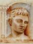 Augustus by Svetlana Limited Edition Print