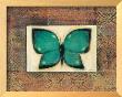 Butterfly I by Norman Wyatt Jr. Limited Edition Print