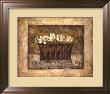 Ironware & Crocus Ii by Richard Lane Limited Edition Pricing Art Print