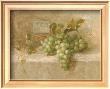 Chardonnay Grapes by Danhui Nai Limited Edition Print