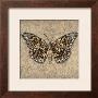 Tiger Butterfly by Jennifer Brice Limited Edition Pricing Art Print