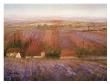 Sense Of Lavender by Ken Hildrew Limited Edition Pricing Art Print