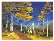 Yellow Aspen by Susanne Darius Limited Edition Print