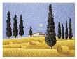 Cypress And Hay by Lowell Herrero Limited Edition Print