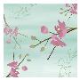 Zen Blossoms I by Kate Knight Limited Edition Print