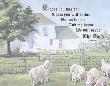 Spring Sheep by Sheri Clingan Limited Edition Print