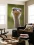 Ostrich, Lewa Wildlife Conservancy, Kenya by Demetrio Carrasco Limited Edition Print