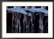 Ballet - Live Performance by Keith Levit Limited Edition Pricing Art Print