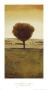 Solitary Tree by Andrzej Skorut Limited Edition Print