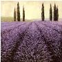 Lavender Horizon Detail by James Wiens Limited Edition Print