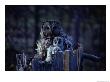 Michael S.Quinton Pricing Limited Edition Prints