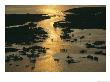 Aerial Shot, Tangier Island, Chesapeake Bay, Virginia by Skip Brown Limited Edition Print