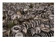 A Field Of Chrome-Plated Choices Offers Hubcap Heaven To Buyers by Stephen St. John Limited Edition Print
