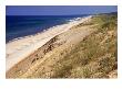 Beach, Cape Cod, Ma by Jeff Greenberg Limited Edition Print