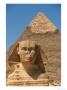 The Sphinx And Pyramid Of Cheops, Egypt by Jacob Halaska Limited Edition Print