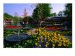 Spring Flowers In Bloom In Tivoli Gardens, Copenhagen, Denmark by Anders Blomqvist Limited Edition Pricing Art Print