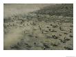 Aerial View Of Hundreds Of Motorcyclists Racing Across The Mojave Desert by Walter Meayers Edwards Limited Edition Print